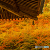 呑山観音寺の紅葉 ３