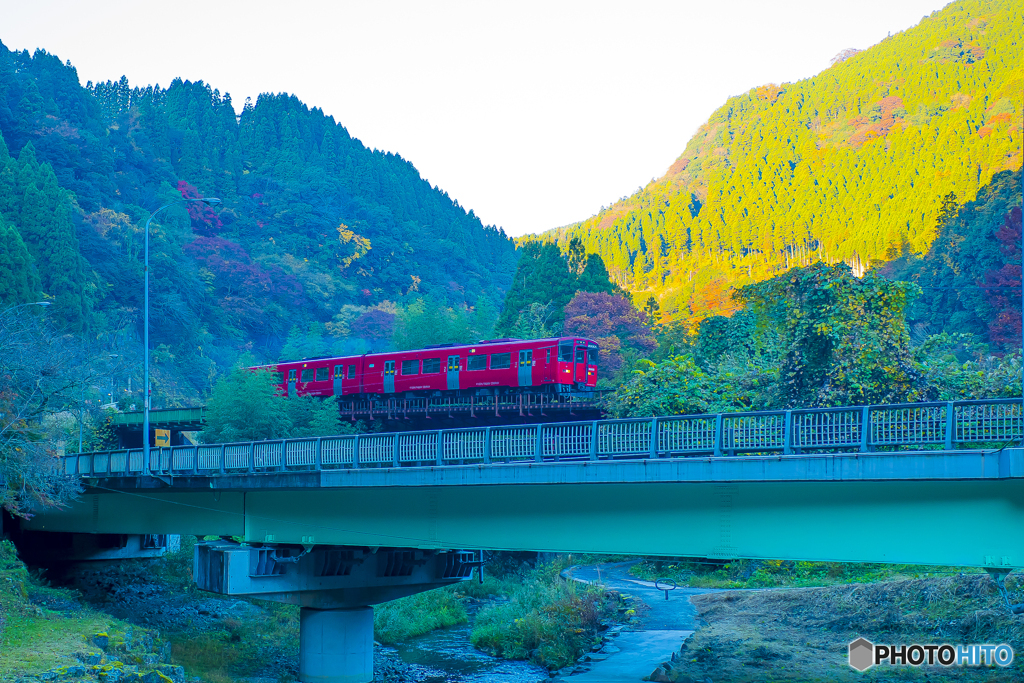 2025年 紅葉の九大線 5