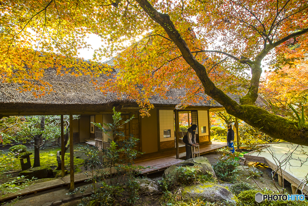 九年庵の紅葉２