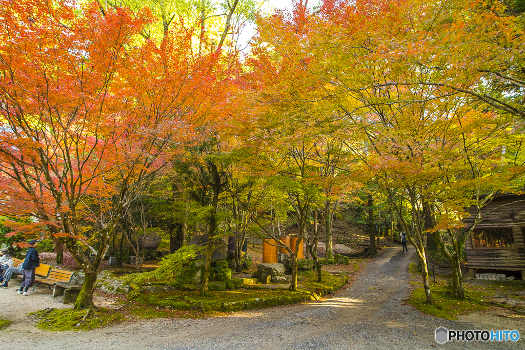 仁比神社の紅葉４