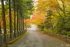 呑山観音寺の紅葉 ７