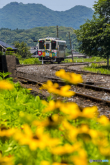 平成筑豊鉄道 １