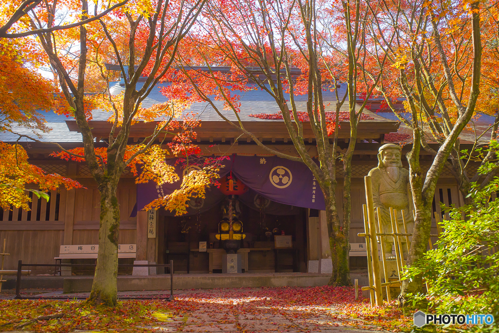 2025年 呑山観音寺の紅葉 7