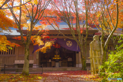 2025年 呑山観音寺の紅葉 7