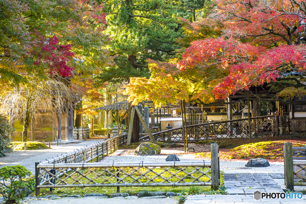 雷山千如寺大悲王院の紅葉 ３