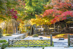 雷山千如寺大悲王院の紅葉 ３