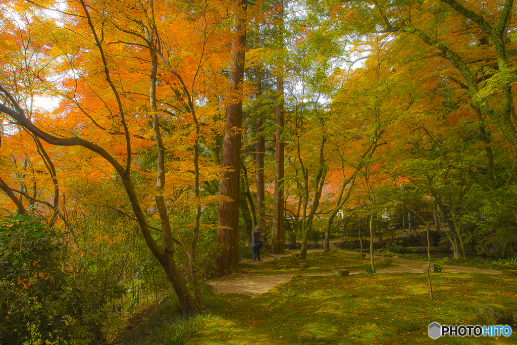 2025年 仁比山神社の紅葉 2