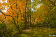 2025年 仁比山神社の紅葉 2