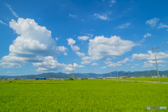 2025年 真夏の甘木鉄道　５