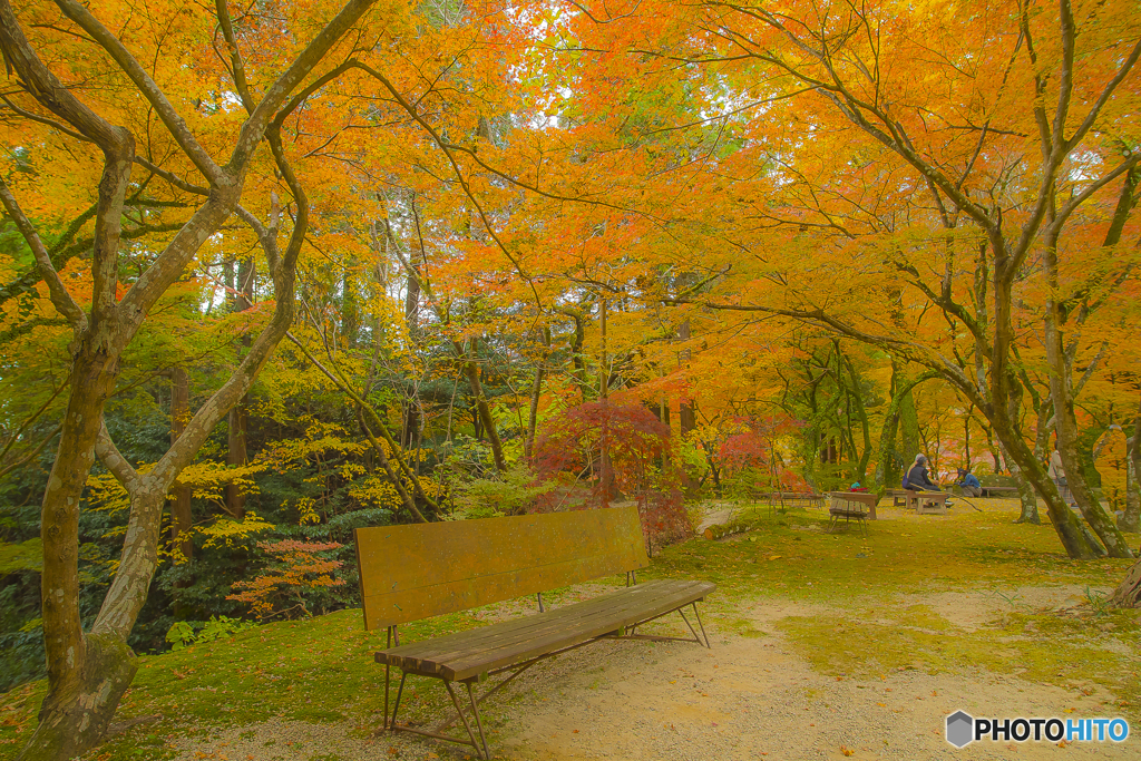 2025年 仁比山神社の紅葉 5