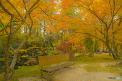 2025年 仁比山神社の紅葉 5