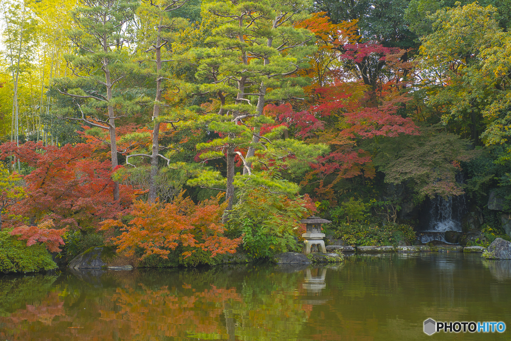 2025年 石橋文化センターの紅葉 4