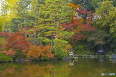 2025年 石橋文化センターの紅葉 4