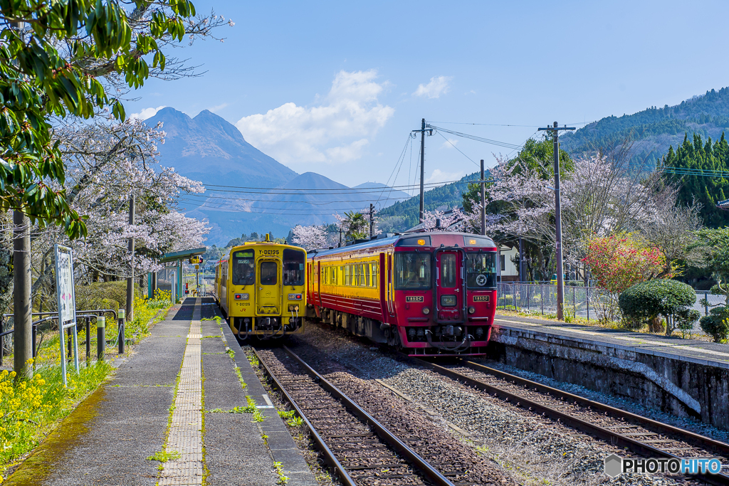 桜列車１０