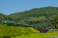 真夏の九大線　９