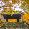 2024年 秋月城跡の紅葉 １