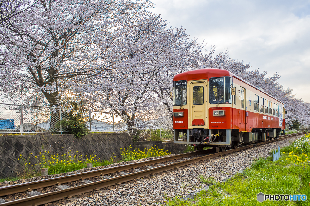 2025年 甘木鉄道 ６