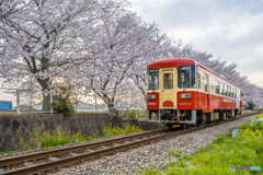 2025年 甘木鉄道 ６