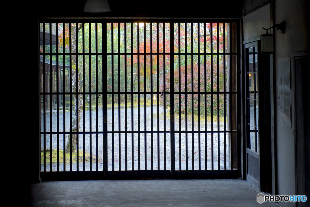 2025年 金鱗湖の紅葉 2