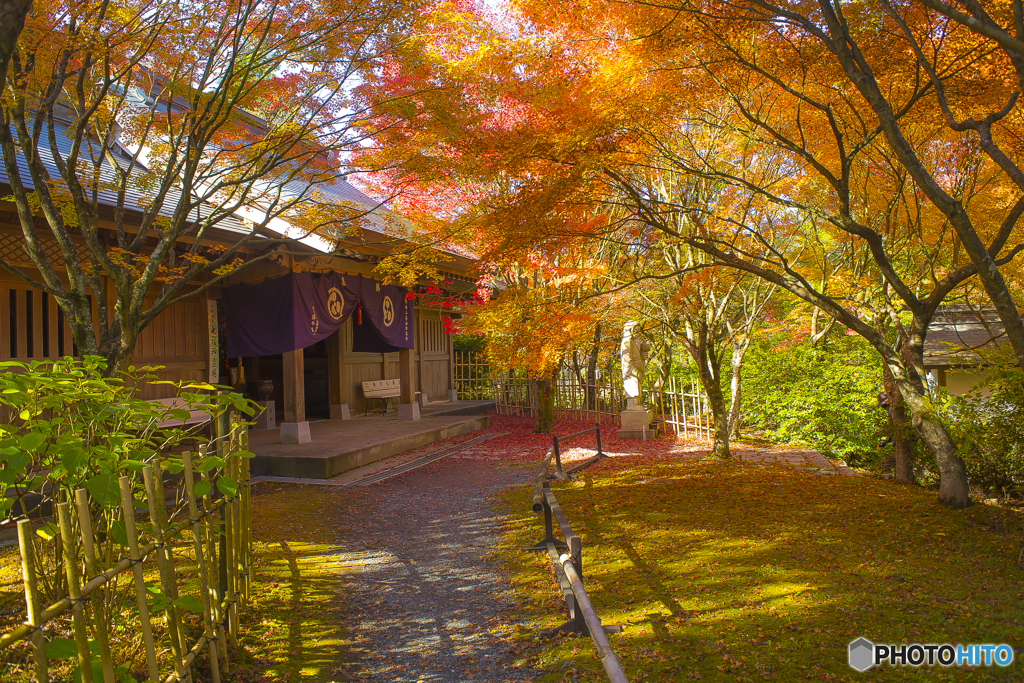2025年 呑山観音寺の紅葉 8