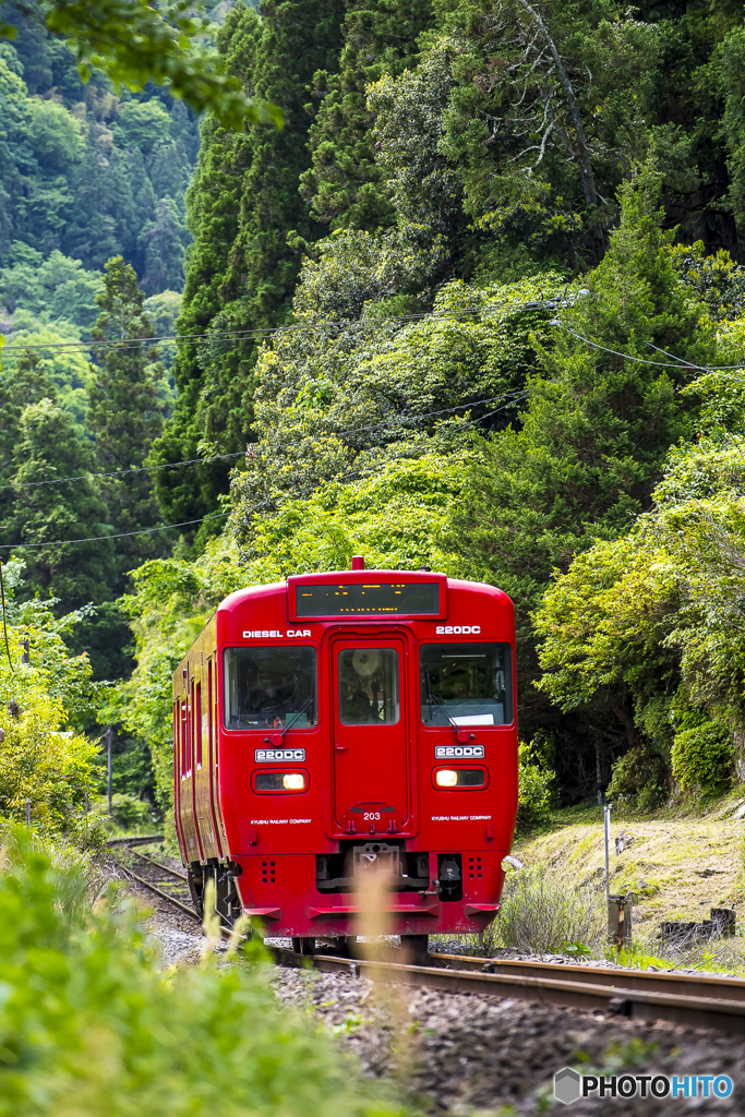 新緑の九大本線 ７