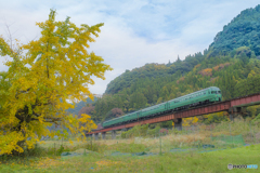 2025年 紅葉の九大線 3