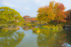 2025年 石橋文化センターの紅葉 2