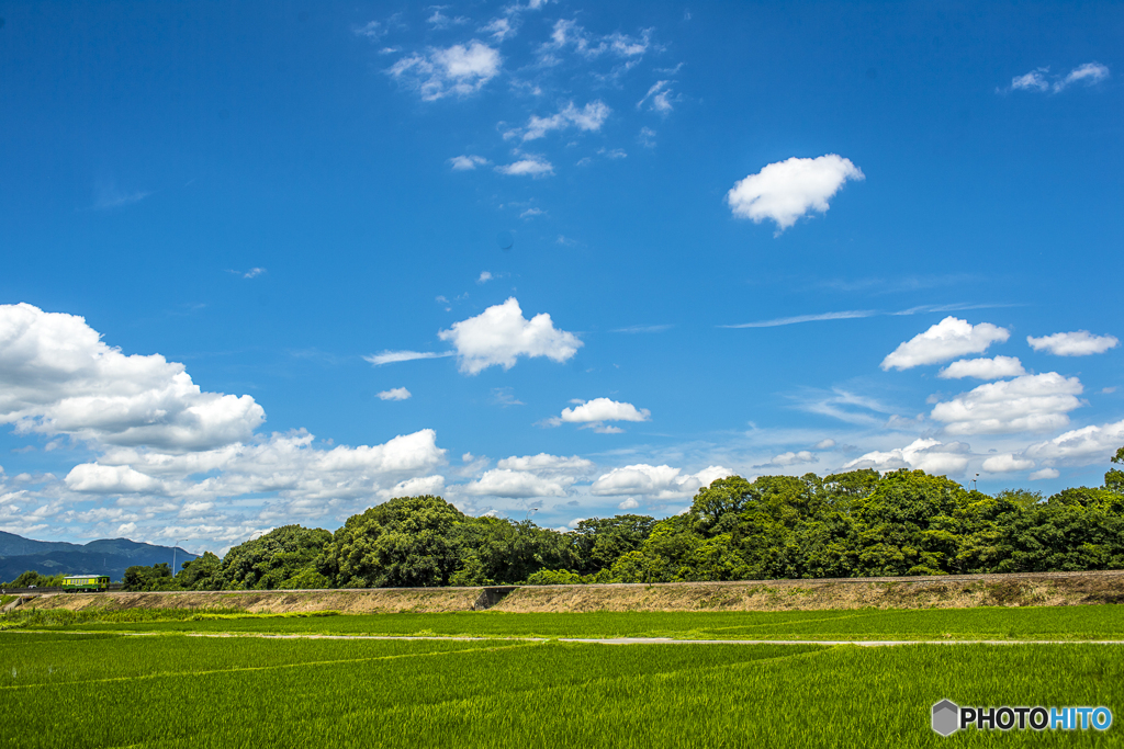 2025年 真夏の甘木鉄道 ３
