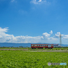 2025年 真夏の甘木鉄道　２