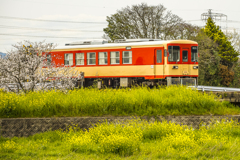 2025年 甘木鉄道 ２