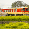 2025年 甘木鉄道 ２