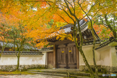 呑山観音寺の紅葉 ８