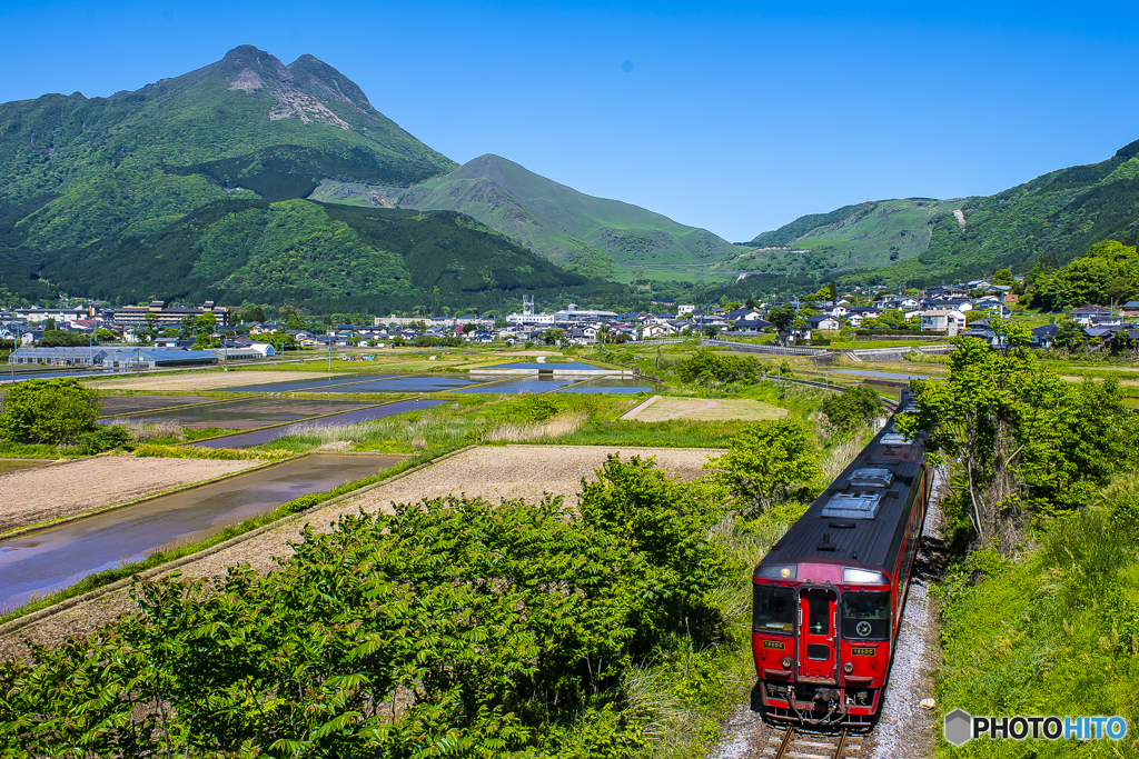 新緑の九大本線１４