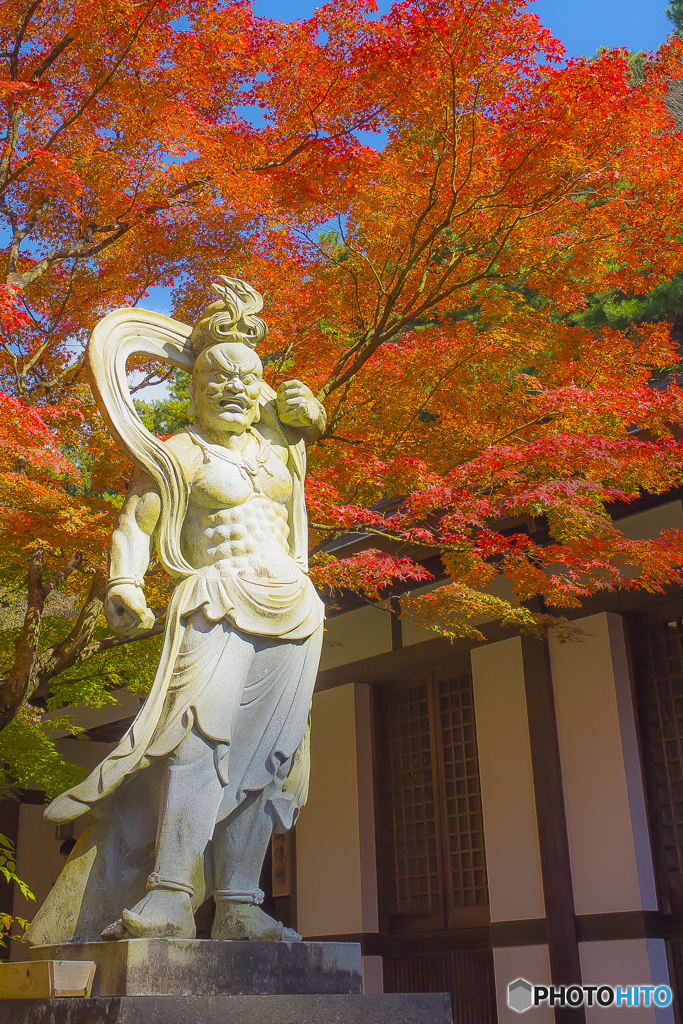 2025年 呑山観音寺の紅葉 5