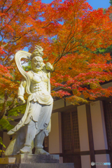 2025年 呑山観音寺の紅葉 5