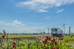 2025年 甘鉄と積乱雲 ４