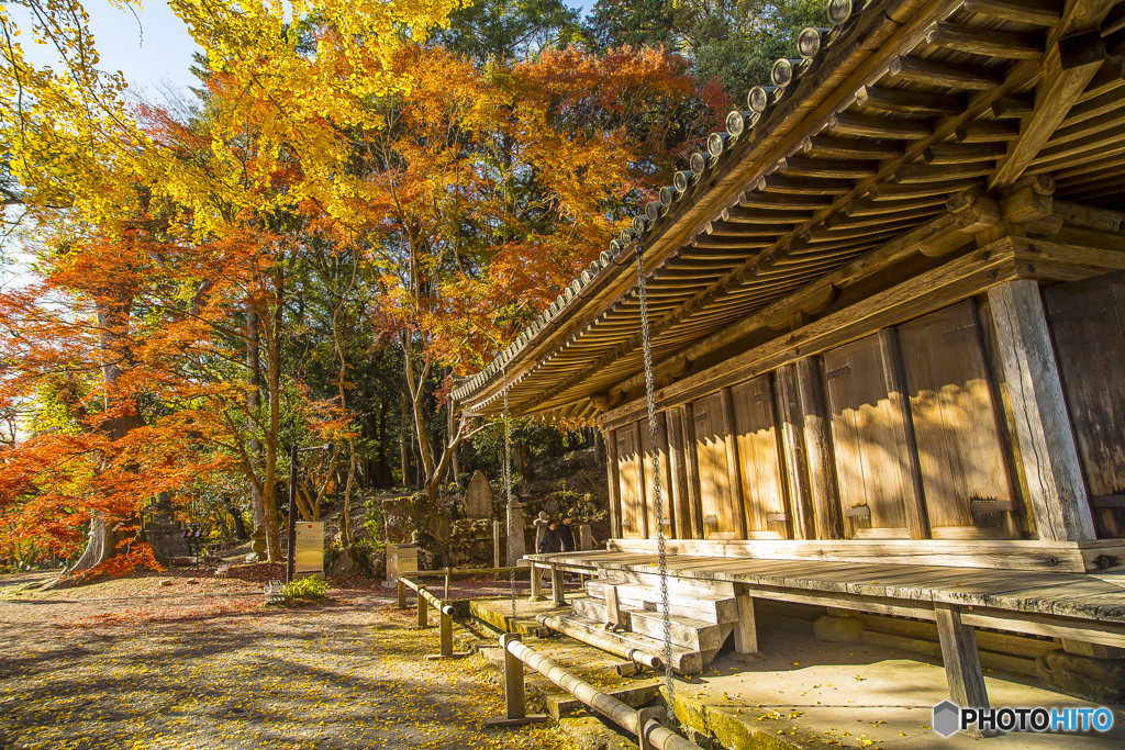 国宝 富貴寺の紅葉１