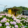 平成筑豊鉄道 ６