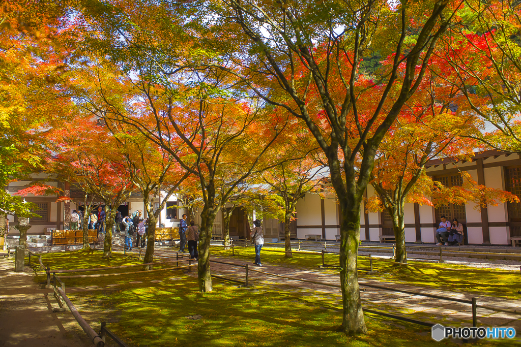2025年 呑山観音寺の紅葉 3