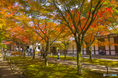 2025年 呑山観音寺の紅葉 3