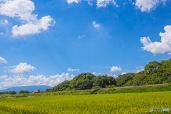 晩夏の甘木鉄道 ６