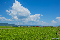 2025年 真夏の甘木鉄道　４