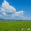 2025年 真夏の甘木鉄道　４