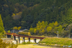 初冬の九大本線 ３