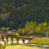 初冬の九大本線 ３