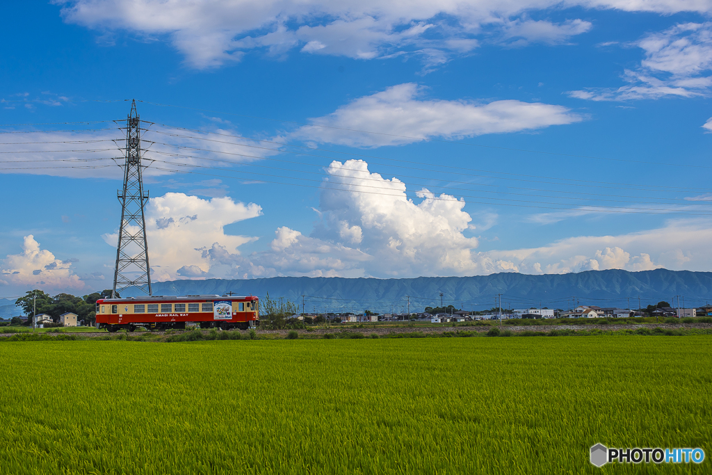 真夏の甘木鉄道 ５