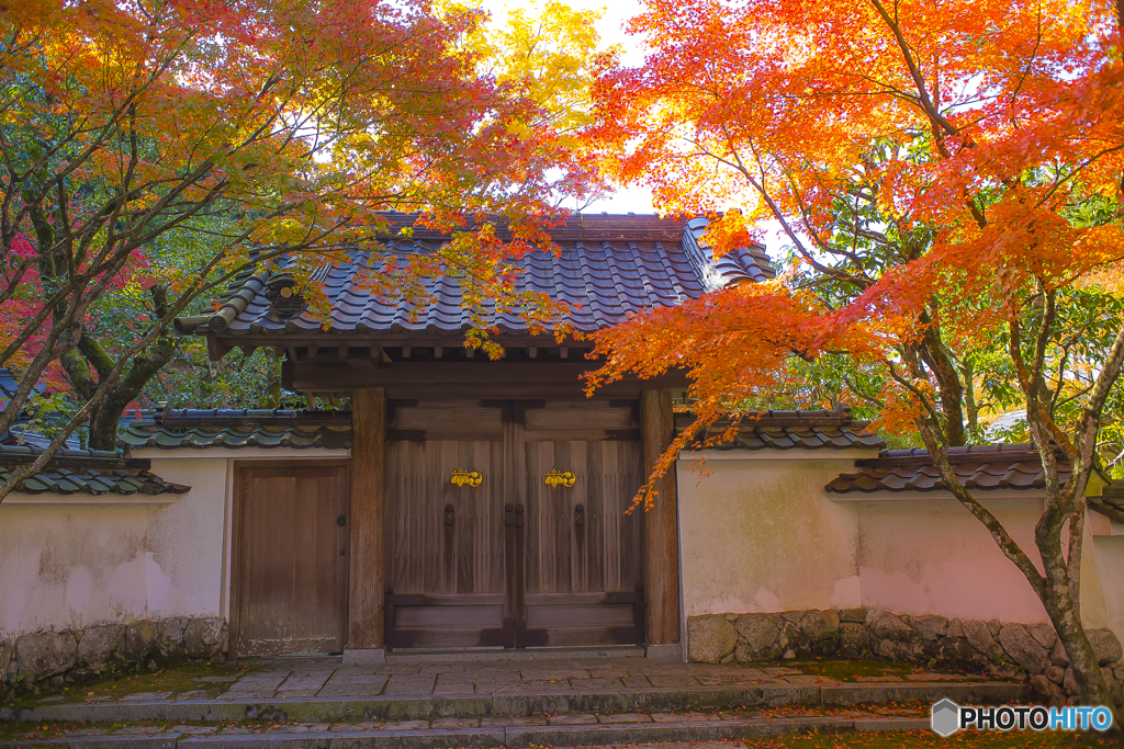 2025年 呑山観音寺の紅葉 6