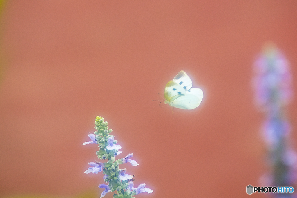 夢の中へ １