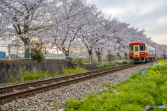 2025年 甘木鉄道 ８