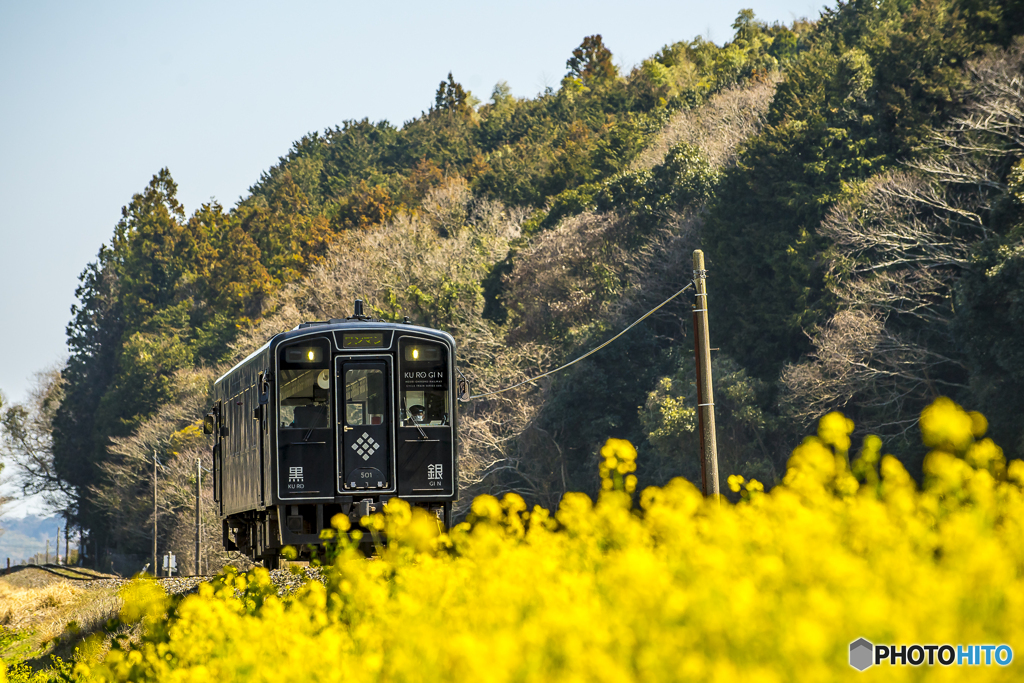2025年 菜の花列車（平成筑豊） ４